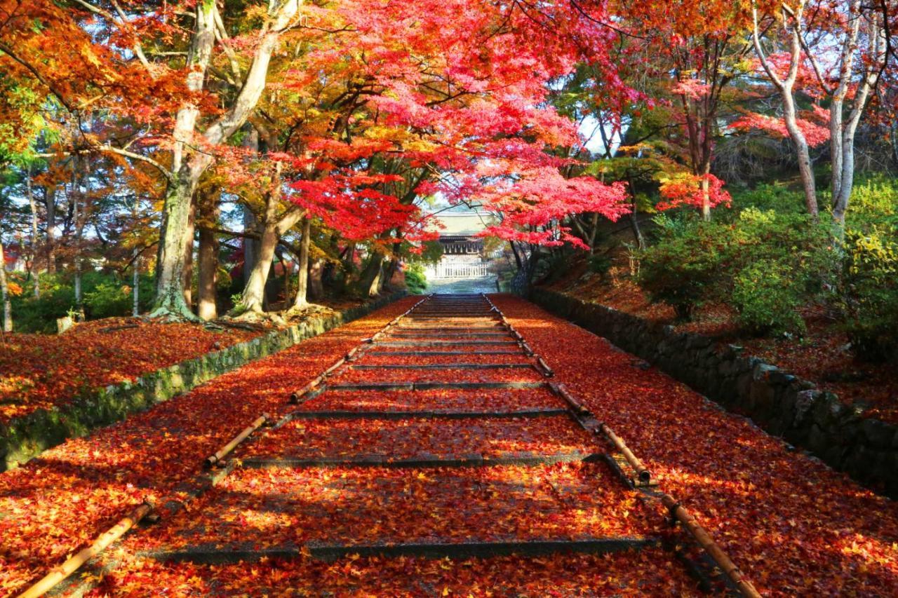 京都Kyoan Shion公寓 外观 照片